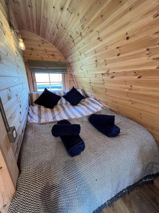 Chalet The Pod Patch - Trelerney Pod Bishop's Castle